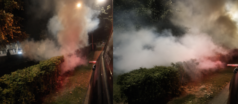 Komary nie odpuszczają. Międzyzdroje wzmacniają akcję odkomarzania Komary nie odpuszczają. Międzyzdroje wzmacniają akcję odkomarzania