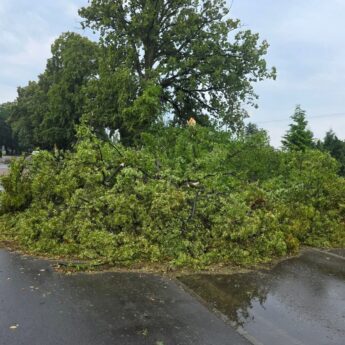 Deszcz i burze dają się we znaki. Powalone drzewa i kolizje
