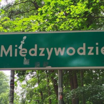 15 milionów złotych i ani jednego chętnego. Wielka działka w Międzywodziu znów niesprzedana