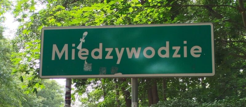15 milionów złotych i ani jednego chętnego. Wielka działka w Międzywodziu znów niesprzedana 15 milionów złotych i ani jednego chętnego. Wielka działka w Międzywodziu znów niesprzedana