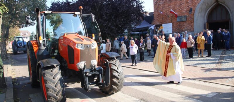 Śliwka królowała w Wolinie! Wolińskie Święto Zbiorów i „Ottonowe Smaki” przy kolegiacie