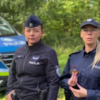 Grzybiarze, uważajcie! Policja przypomina, jak nie zgubić się w lesie [FILM]