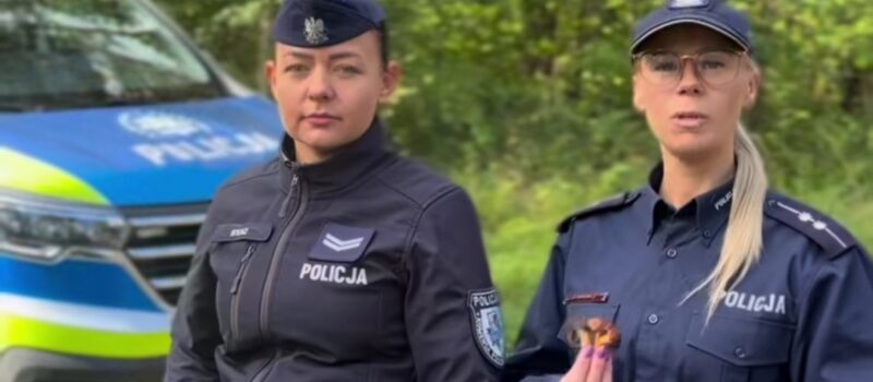 Grzybiarze, uważajcie! Policja przypomina, jak nie zgubić się w lesie [FILM]