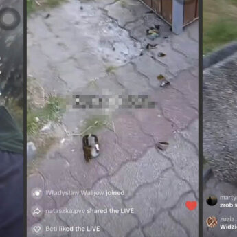 Patostreaming wraca do Kamienia Pomorskiego? Wandalizm, agresja i nawiązania do narkotyków
