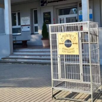 „Butelkomat” stanął przed kamieńskim liceum. Szkoła stawia na ekologię i chce pomóc bibliotece