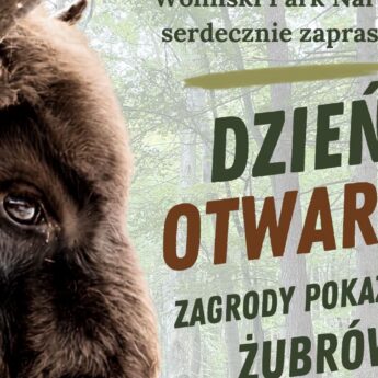 50 lat Zagrody Pokazowej Żubrów Wolińskiego Parku Narodowego