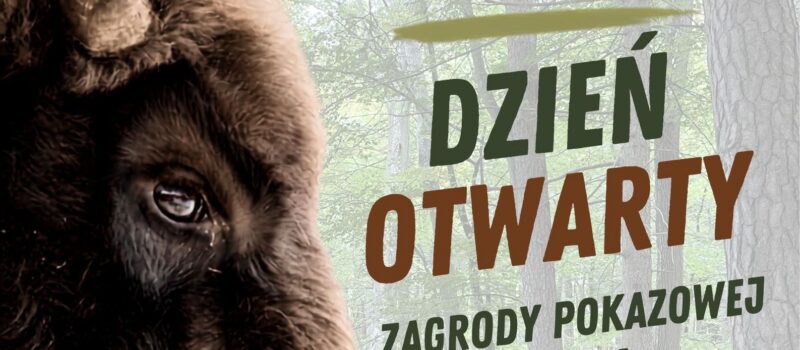 50 lat Zagrody Pokazowej Żubrów Wolińskiego Parku Narodowego 50 lat Zagrody Pokazowej Żubrów Wolińskiego Parku Narodowego