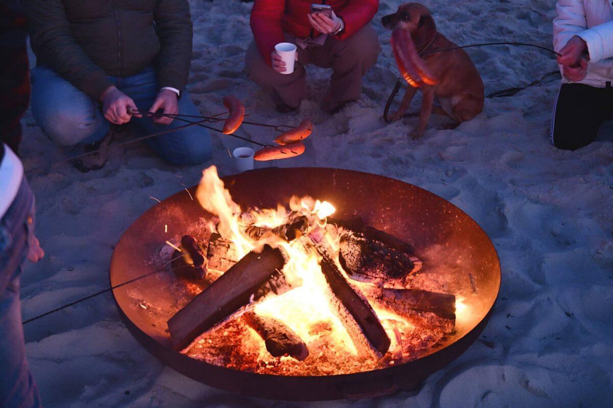 656762292 1518192310308274 8362338653585089449 n